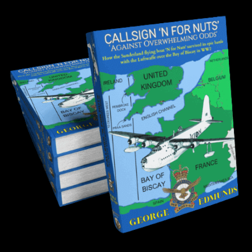 CALLSIGN 'N FOR NUTS' AGAINST OVERWHELMING ODDS
